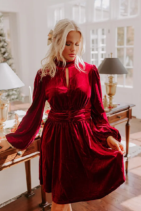 Holiday Social Velvet Mini Dress in Wine